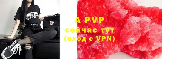 сатива Арсеньев