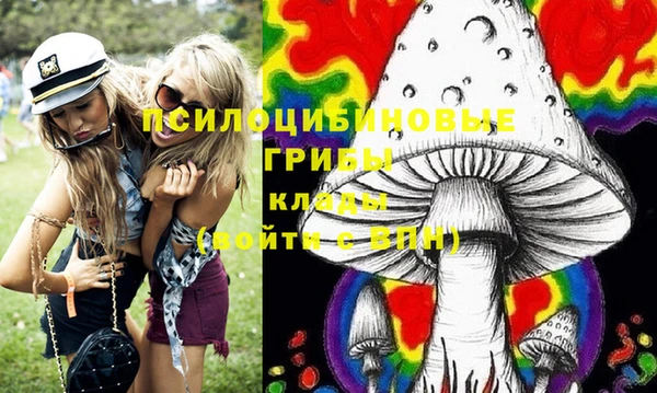ПСИЛОЦИБИНОВЫЕ ГРИБЫ Аркадак
