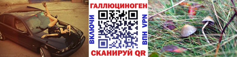 Псилоцибиновые грибы прущие грибы  нарко площадка состав  Терек  продажа наркотиков 