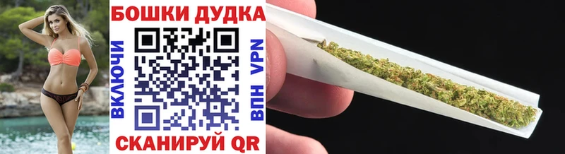Каннабис план  Терек 